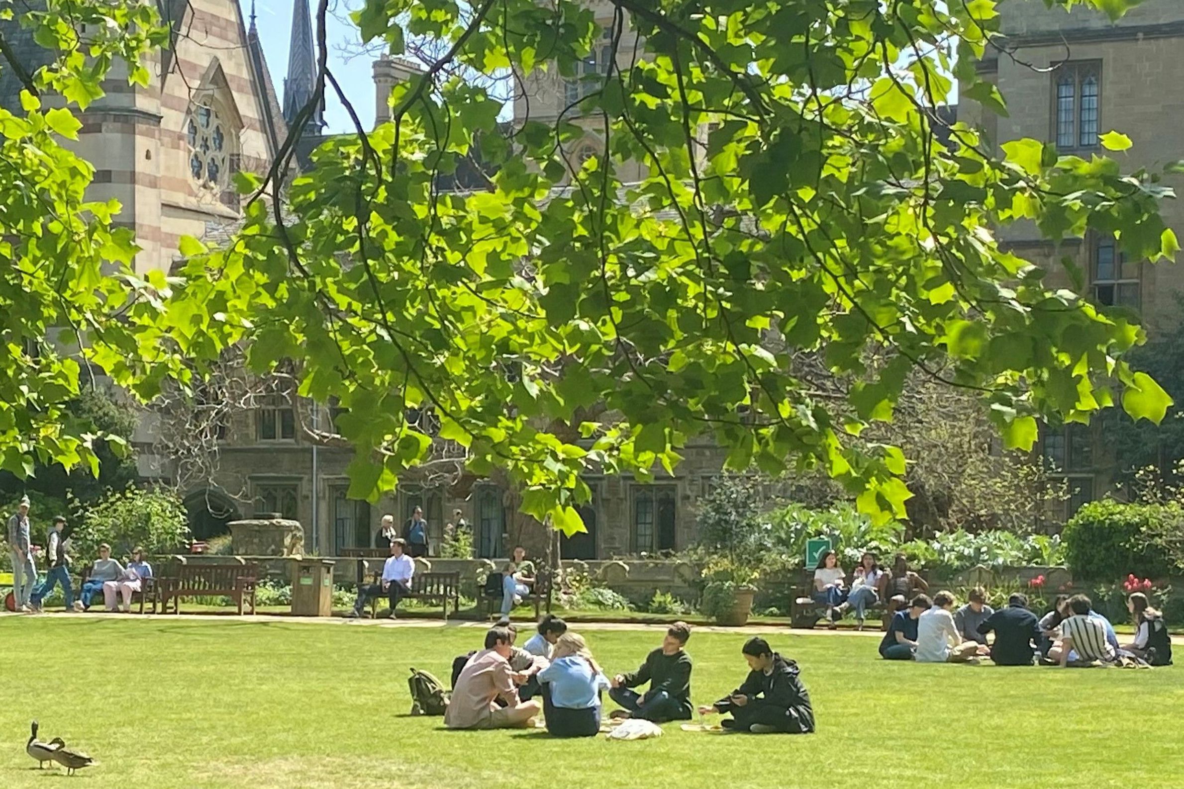 Students sitting on the grass Students sitting on the grass