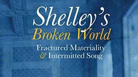 Shelley's Broken World book cover